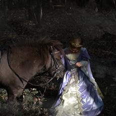 Shetlænder Bøgeskov's Sofia aka Magic