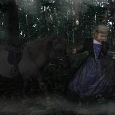 Shetlænder Bøgeskov's Sofia aka Magic