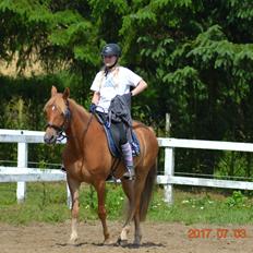 DSP Stejlbjerggårds zefyr