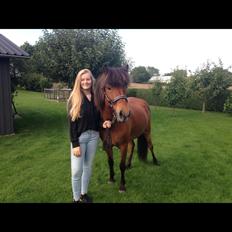 Islænder Sóley fra Urnebjerggård