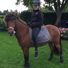 Islænder Sóley fra Urnebjerggård