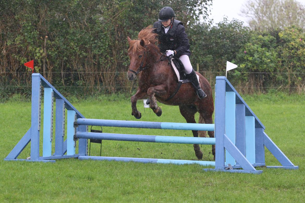 Islænder Sia billede 6