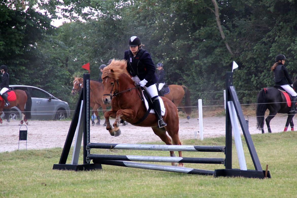 Islænder Sia billede 12