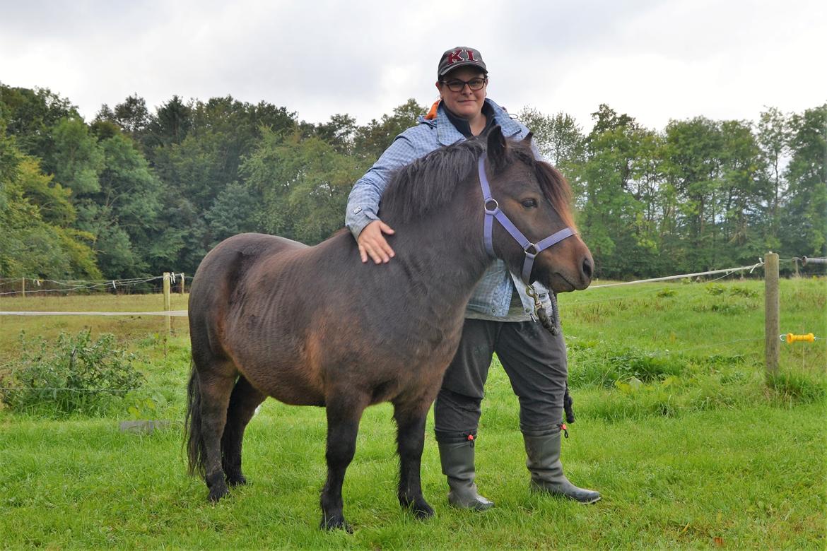 Shetlænder Vadehavets Hacker - Mig og min makker billede 5