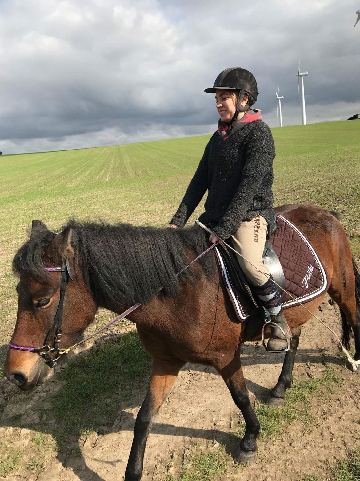 Islænder Ásynja fra Østervang solgt (R.i.P)  billede 17