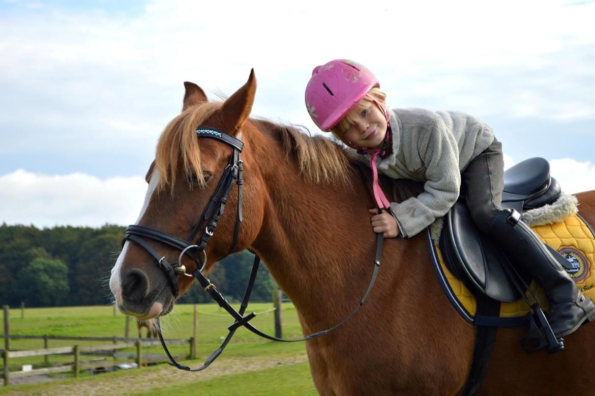 Anden særlig race Jonas billede 16