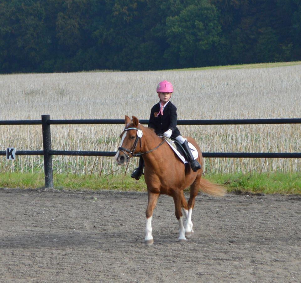Anden særlig race Jonas billede 20