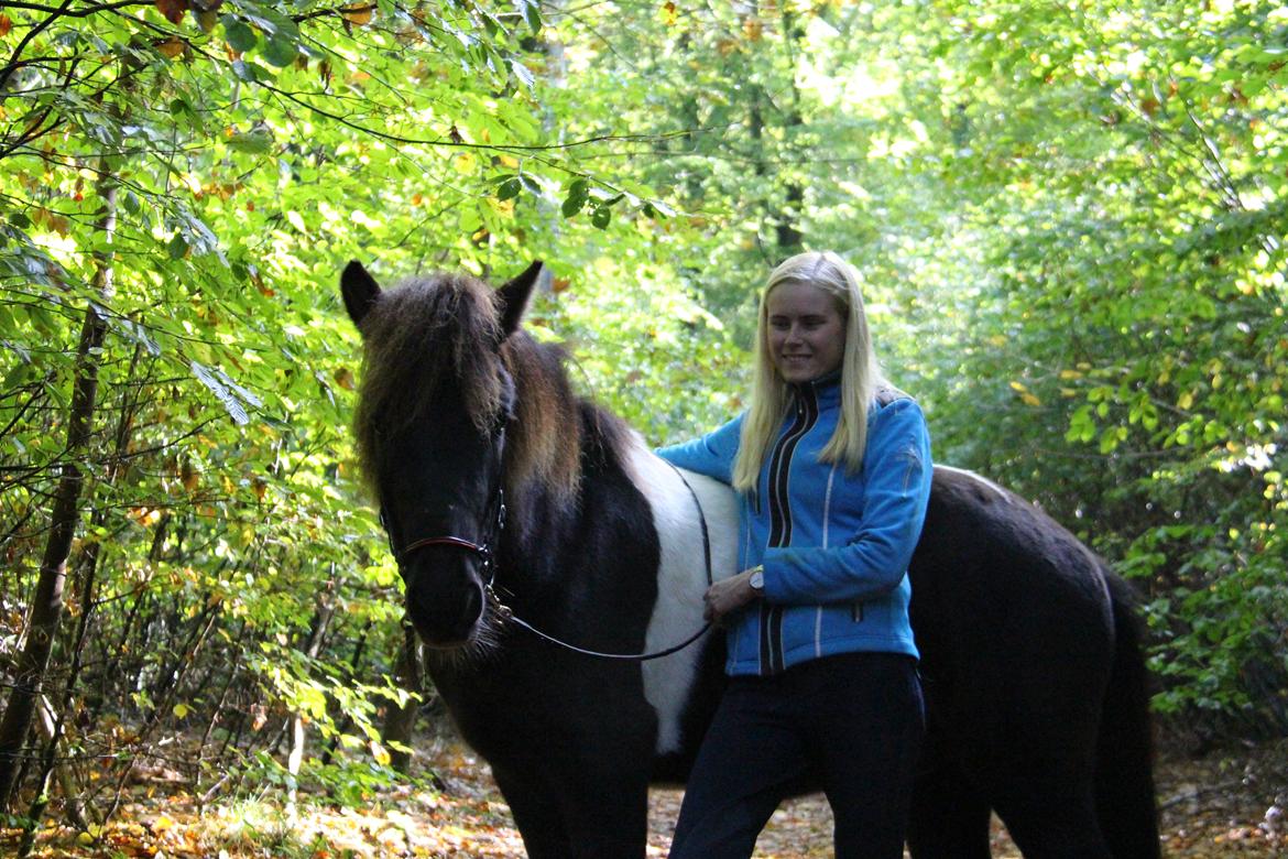 Islænder Ófeigur fra Bakkegården ll billede 8