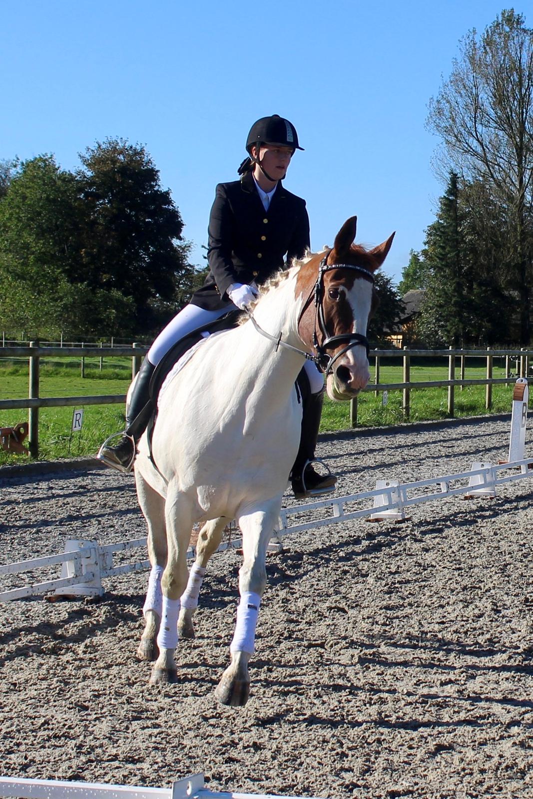 Anden særlig race Freja - Freja er yderst opmærksom ;-)  billede 14