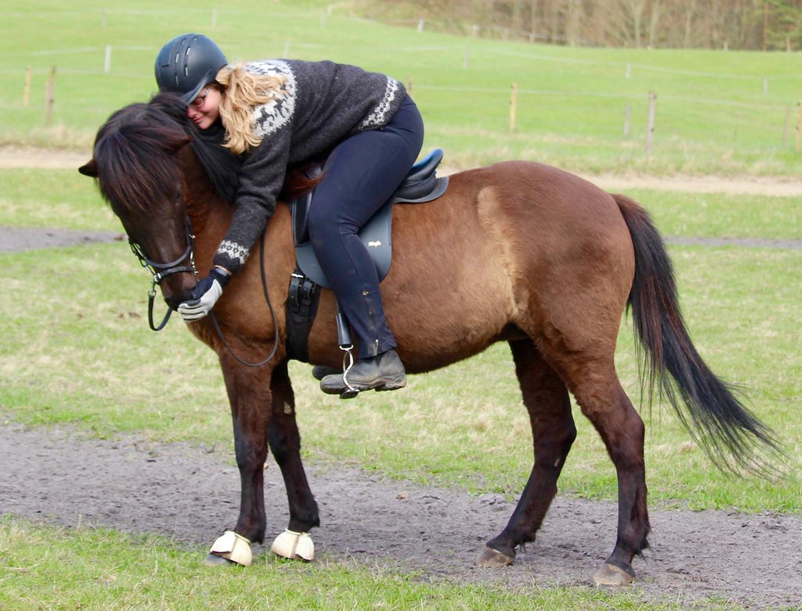 Islænder Litla fra Birkegården - I saw you for like 3 seconds, and then I knew you would change my life<3 Foto: StariAlex billede 3