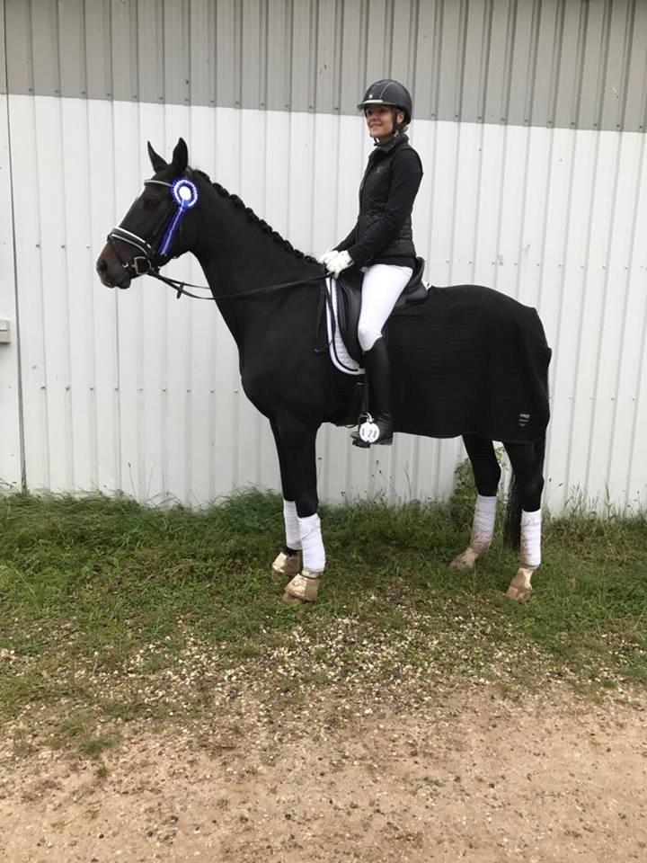 Dansk Varmblod Holtegårdens penny lane - DEBUT rideklubben strøgaarden LD2 og LC1 billede 15