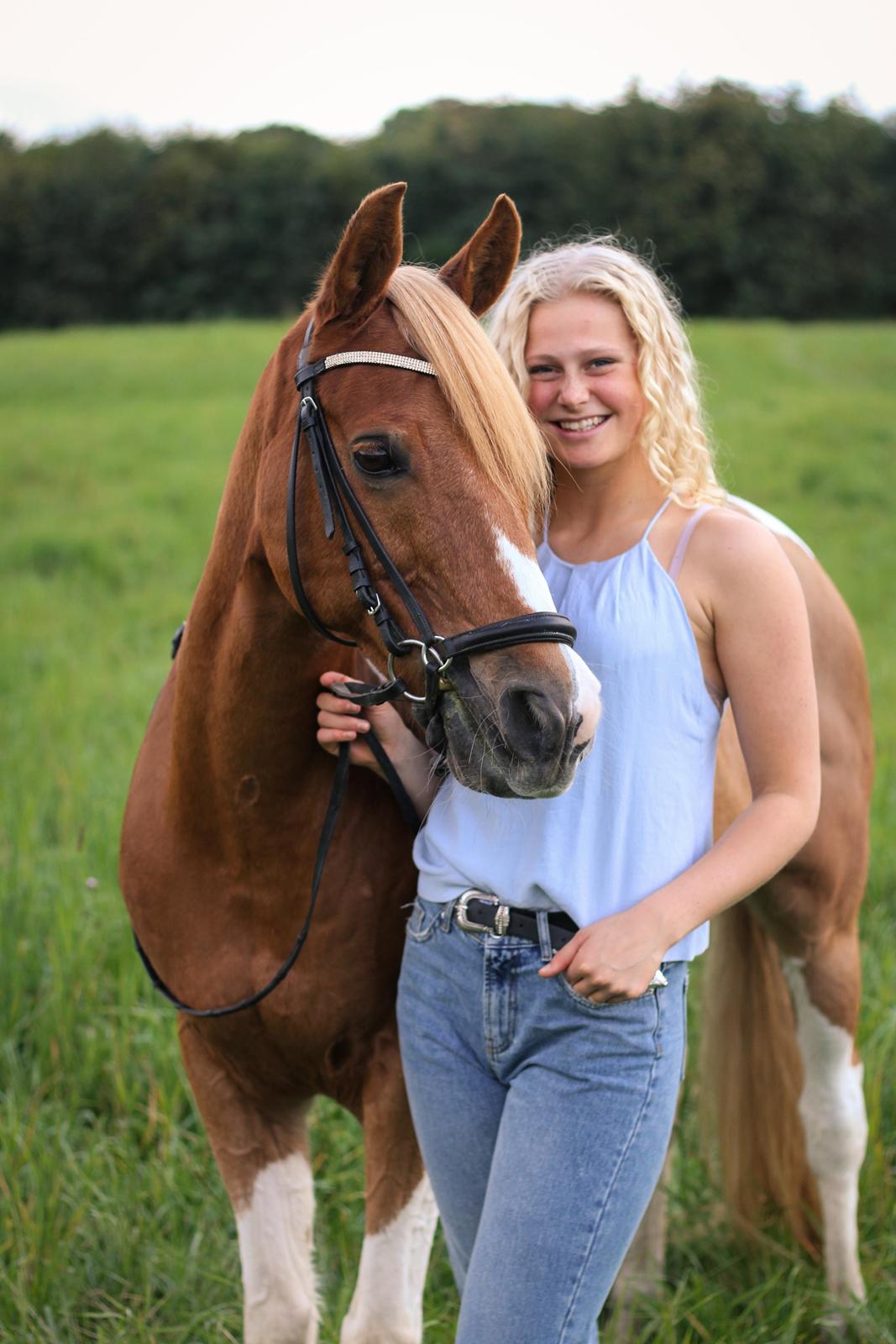 Pinto Araber Felix B-pony og 1/3 A-pony billede 5