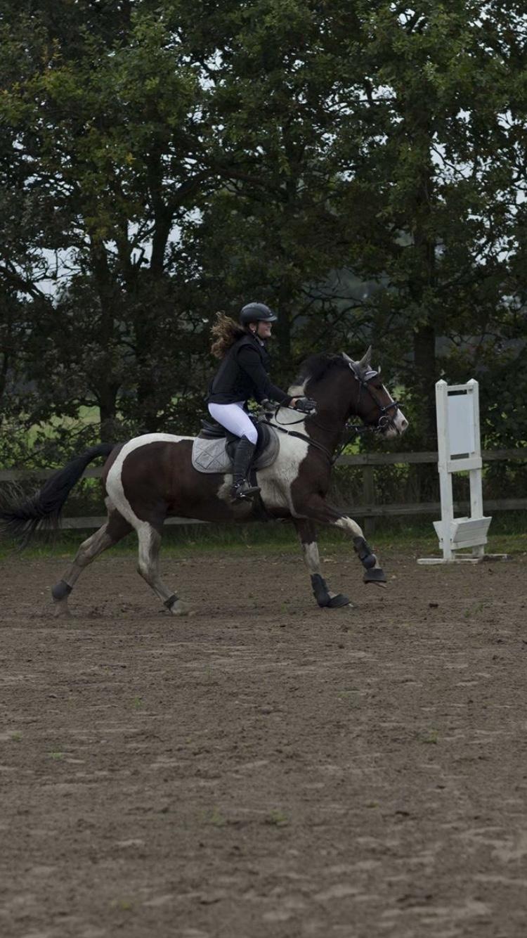 Anden særlig race Huxi  tidl. Lånepony billede 16