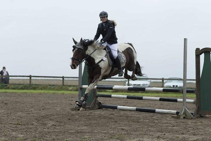 Anden særlig race Huxi  tidl. Lånepony - Foto: Jimmi Leen Friis billede 9