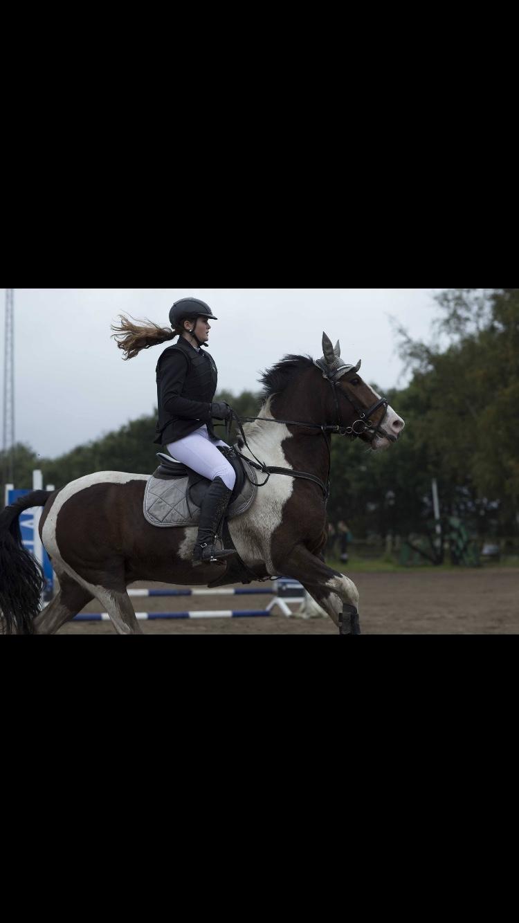 Anden særlig race Huxi  tidl. Lånepony - Fart på billede 18