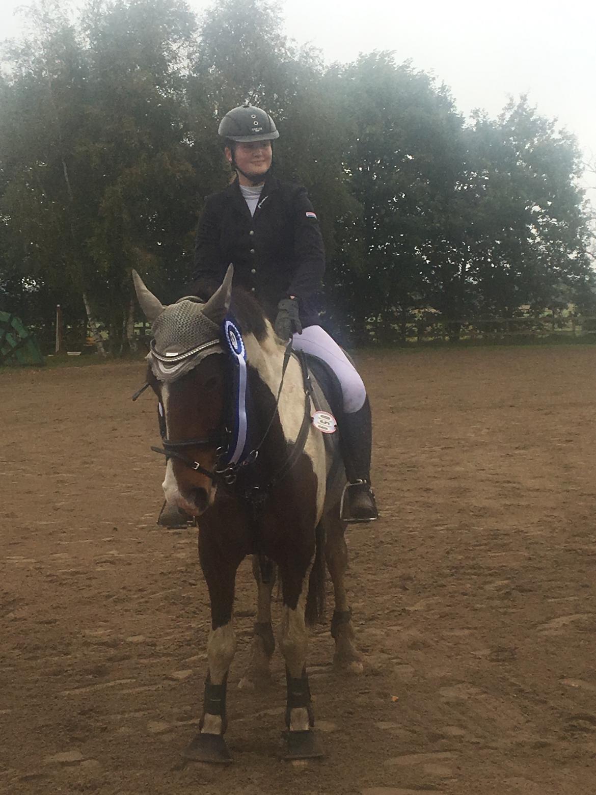 Anden særlig race Huxi  tidl. Lånepony - 2 plads i Le, Land og fritid cup hark 2017 billede 6