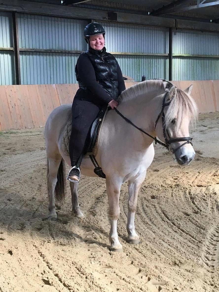 Fjordhest Louis vårby - Da jeg var ude og prøve ham første gang  billede 14