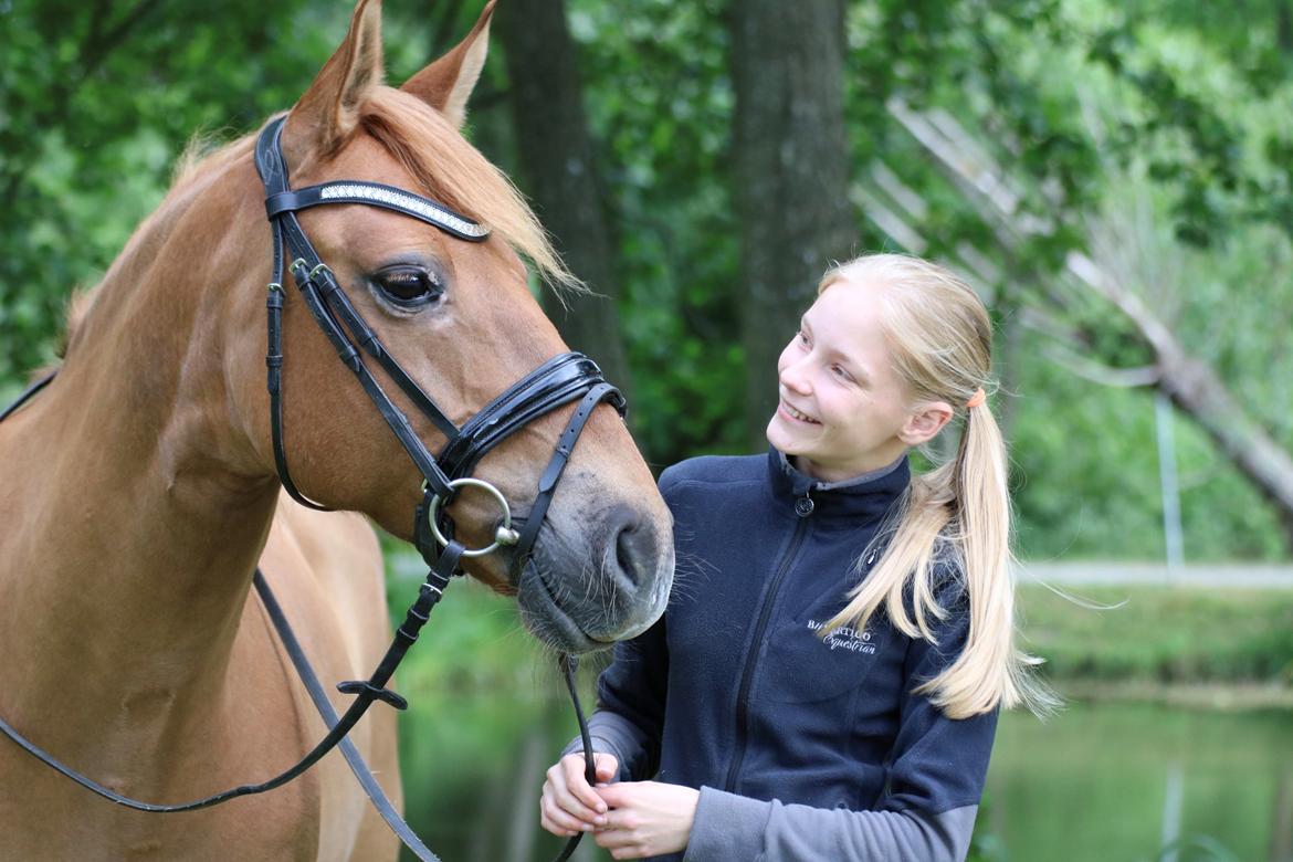 Anden særlig race Armani - Velkommen til Armanis galleri <3 billede 1