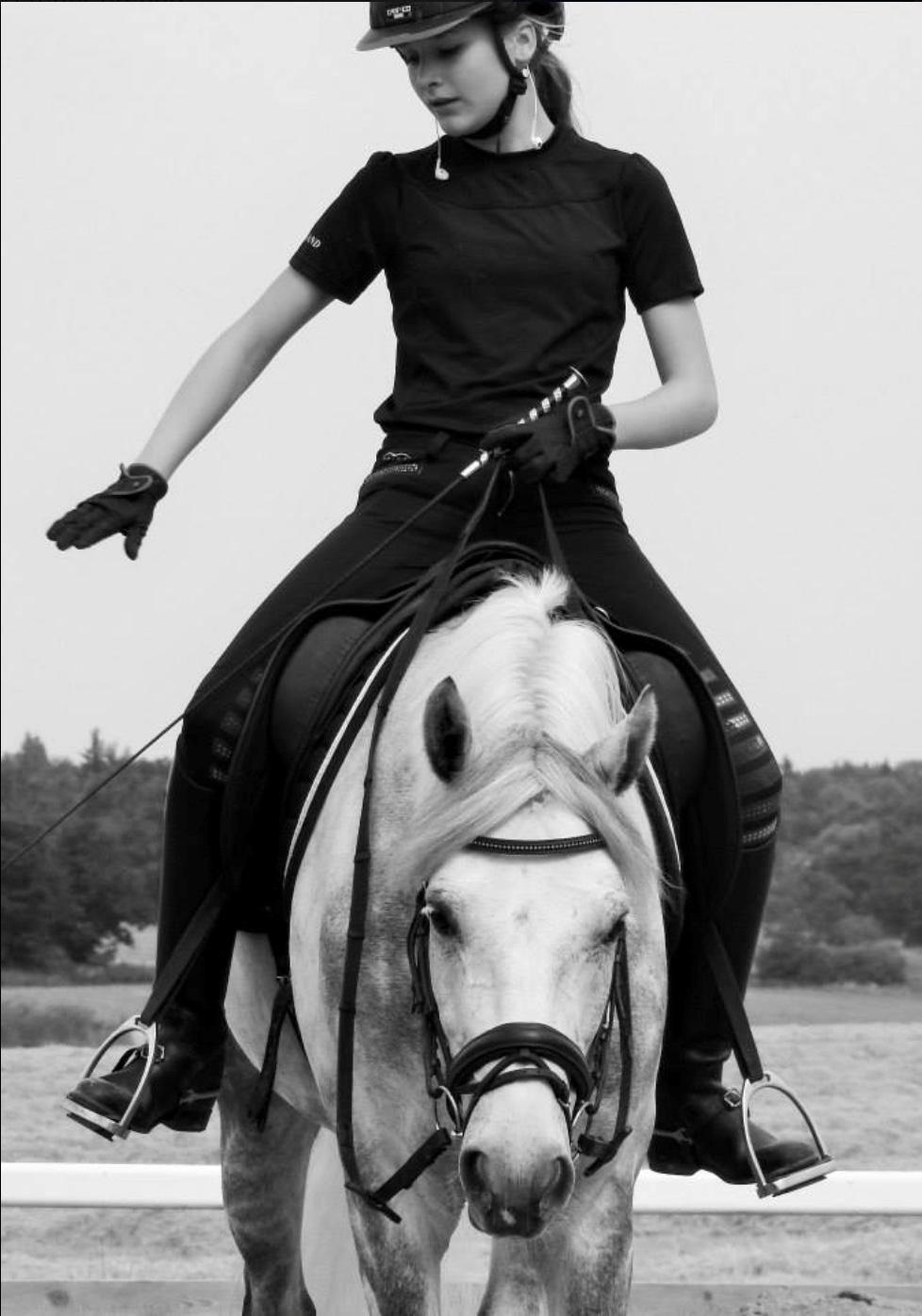 DSP Nørlunds Acord - Sommerskole 2015 billede 4