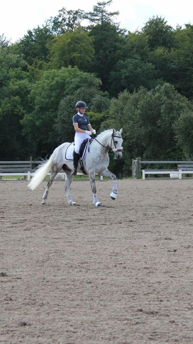 DSP Nørlunds Acord - Sommerskole 2016 billede 7