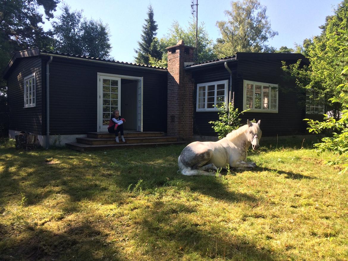 DSP Nørlunds Acord - I sommerhus i sommerferien 2017 billede 8