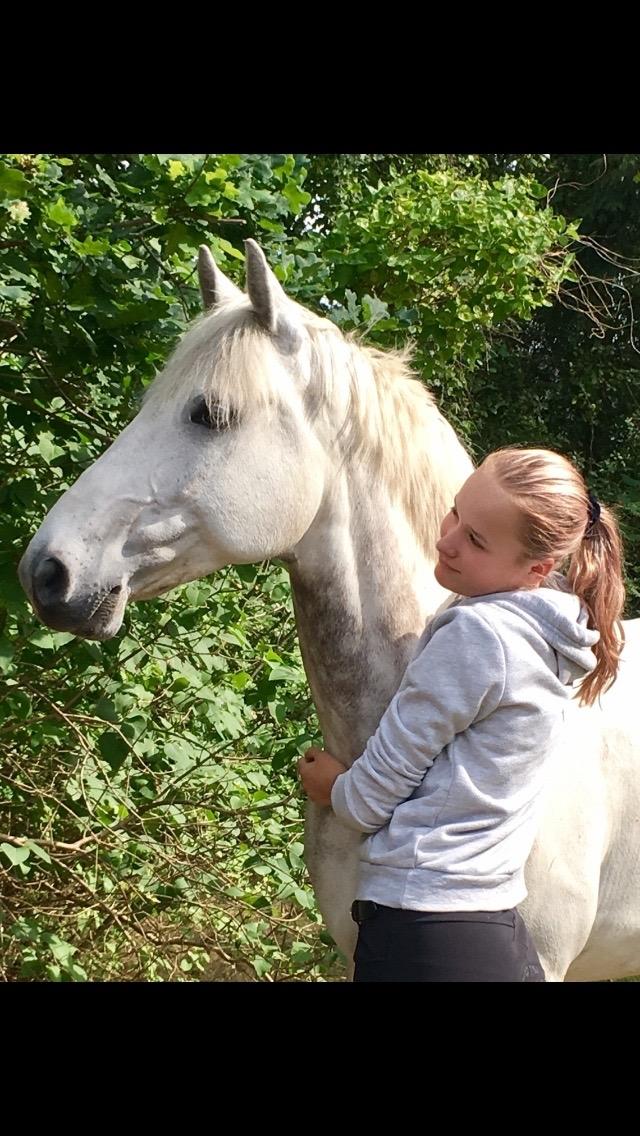 DSP Nørlunds Acord - I sommerhus sommerferien 2017 billede 11