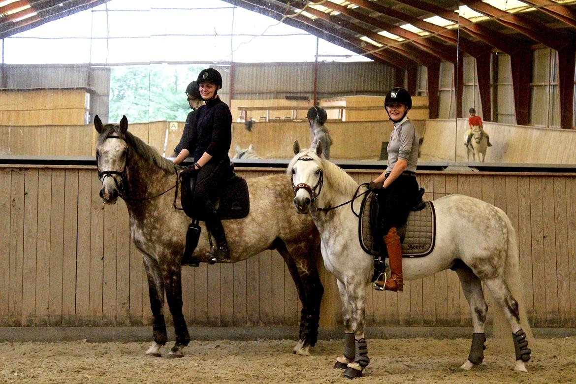 DSP Nørlunds Acord - Dressurtræning med Denice & Charmour billede 13