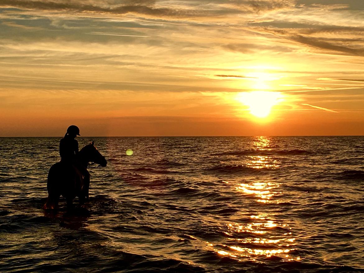 DSP Nørlunds Acord - På stranden sommerferien 2017 billede 3