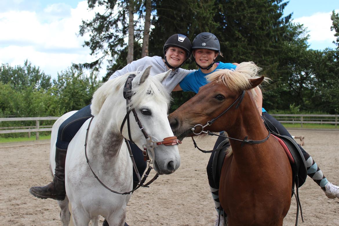 DSP Nørlunds Acord - Ridelejr 2017 billede 2