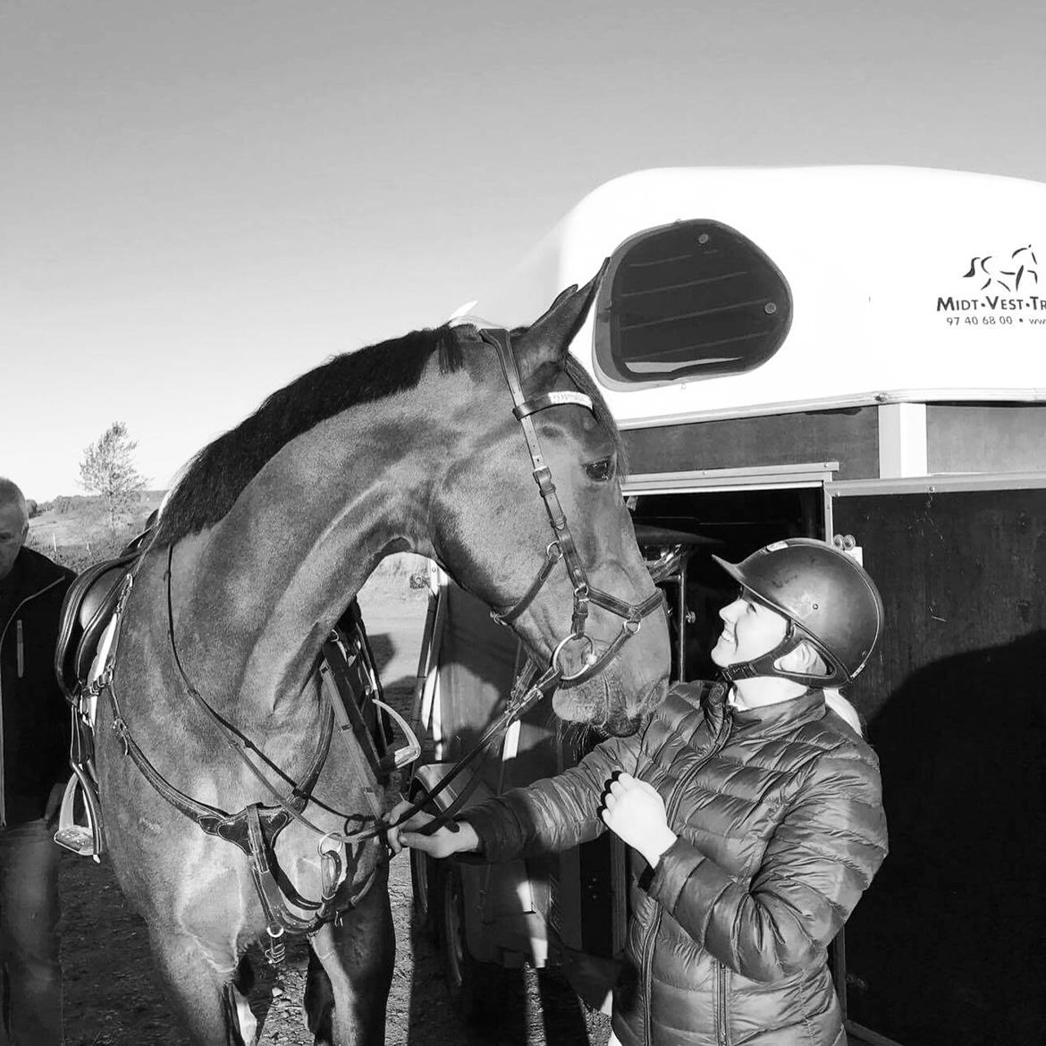 Oldenborg Cornett  billede 37