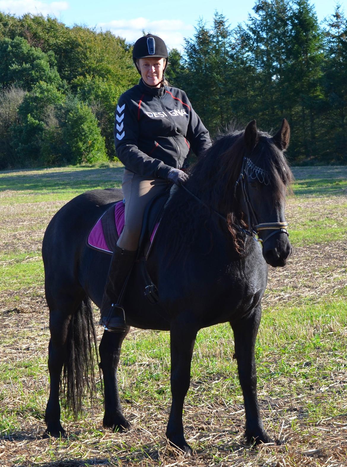 Anden særlig race BLACK DANCER billede 16