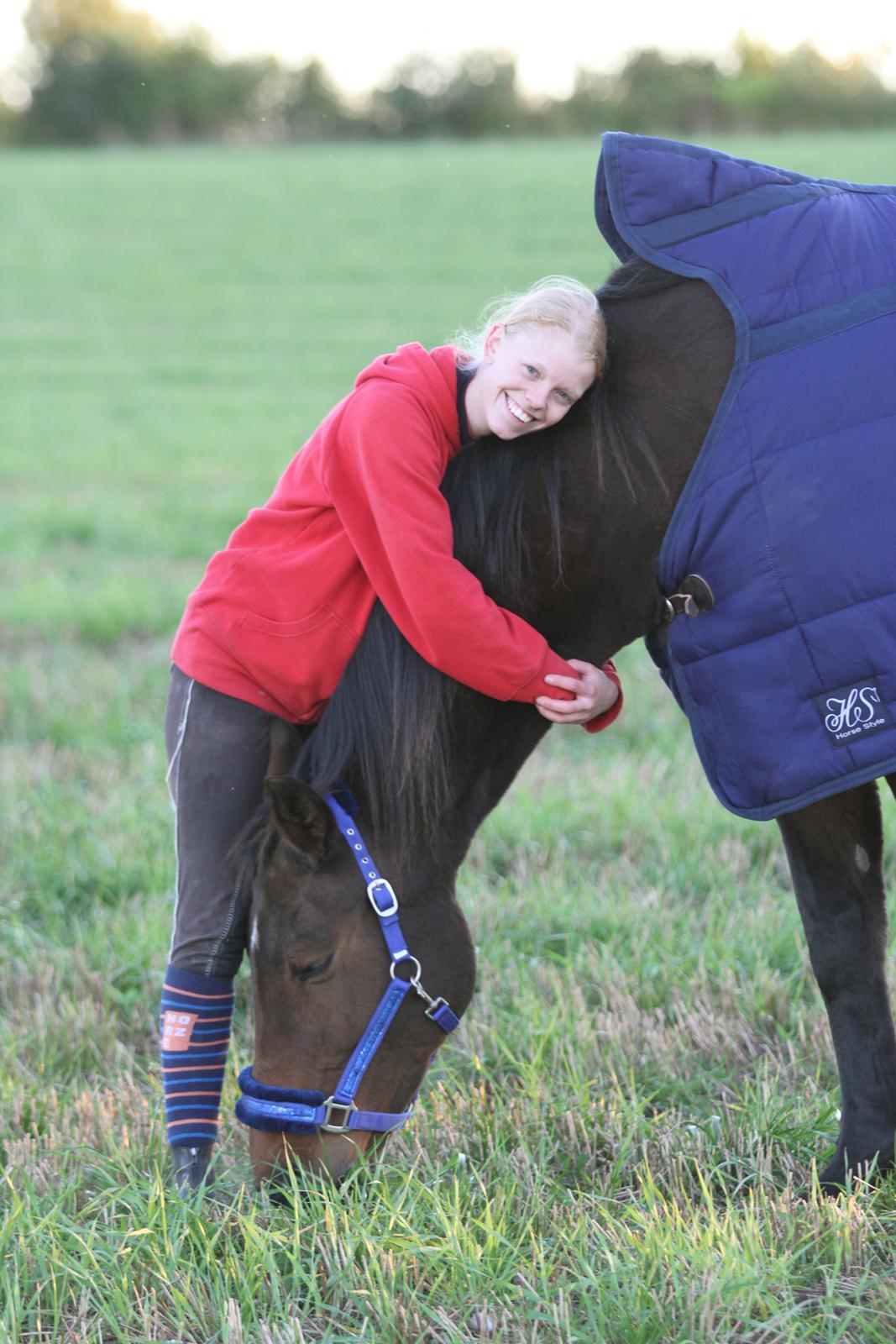 Zangersheide D. Chriesafie Z billede 2