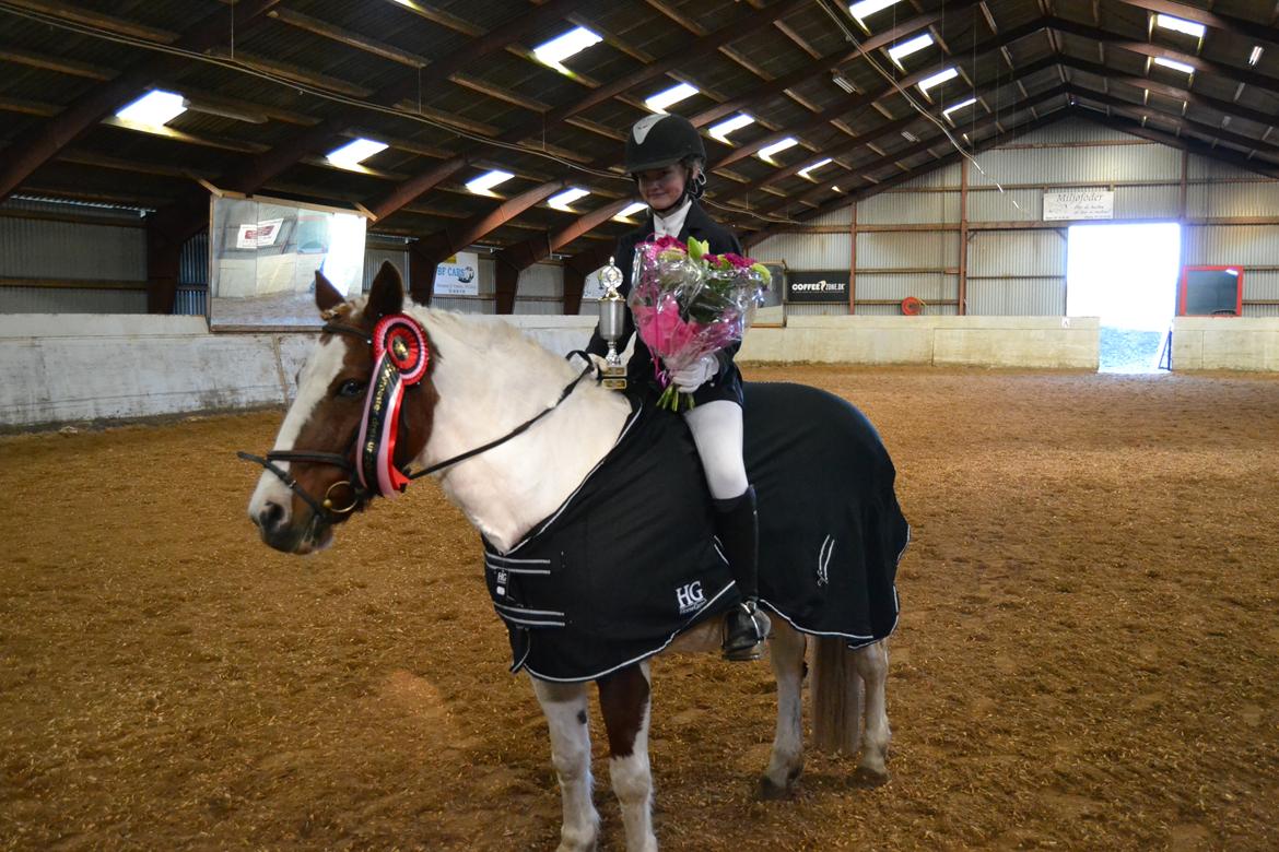 Anden særlig race Susan. (SAVNES!!!) - Elevmester 2017 billede 17