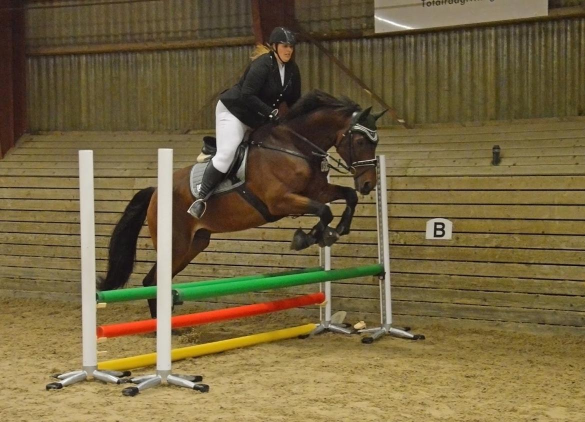 Anden særlig race Dalvangs Casper - NYT: Til stævne i Ladelund <3 billede 13