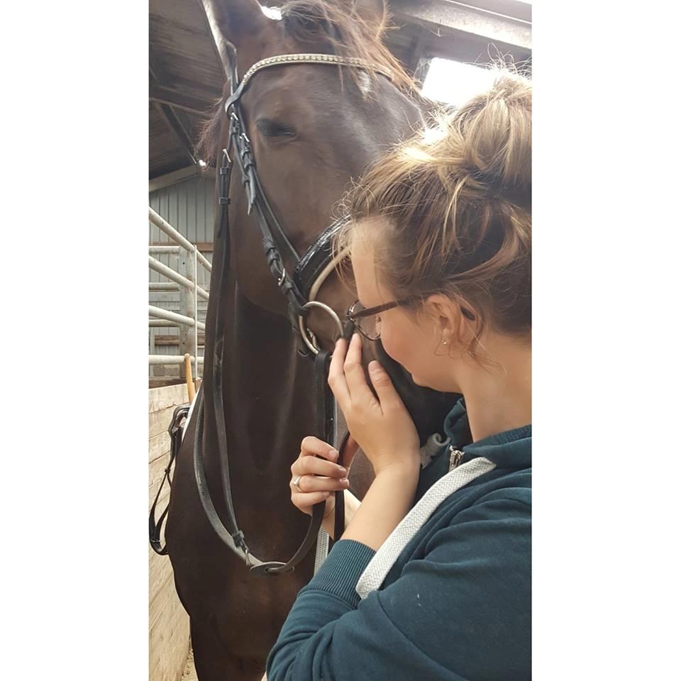 Dansk Varmblod Elversøes Chanel billede 18