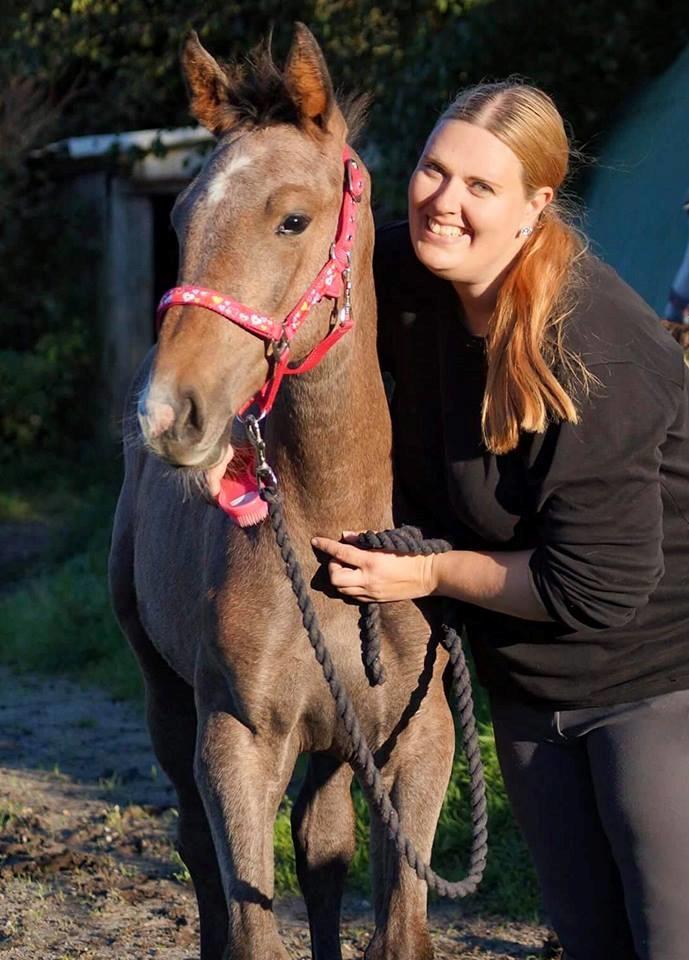 Dansk Varmblod Rosengårdens Prima Donna - NYT: 4 måneder <3 billede 12