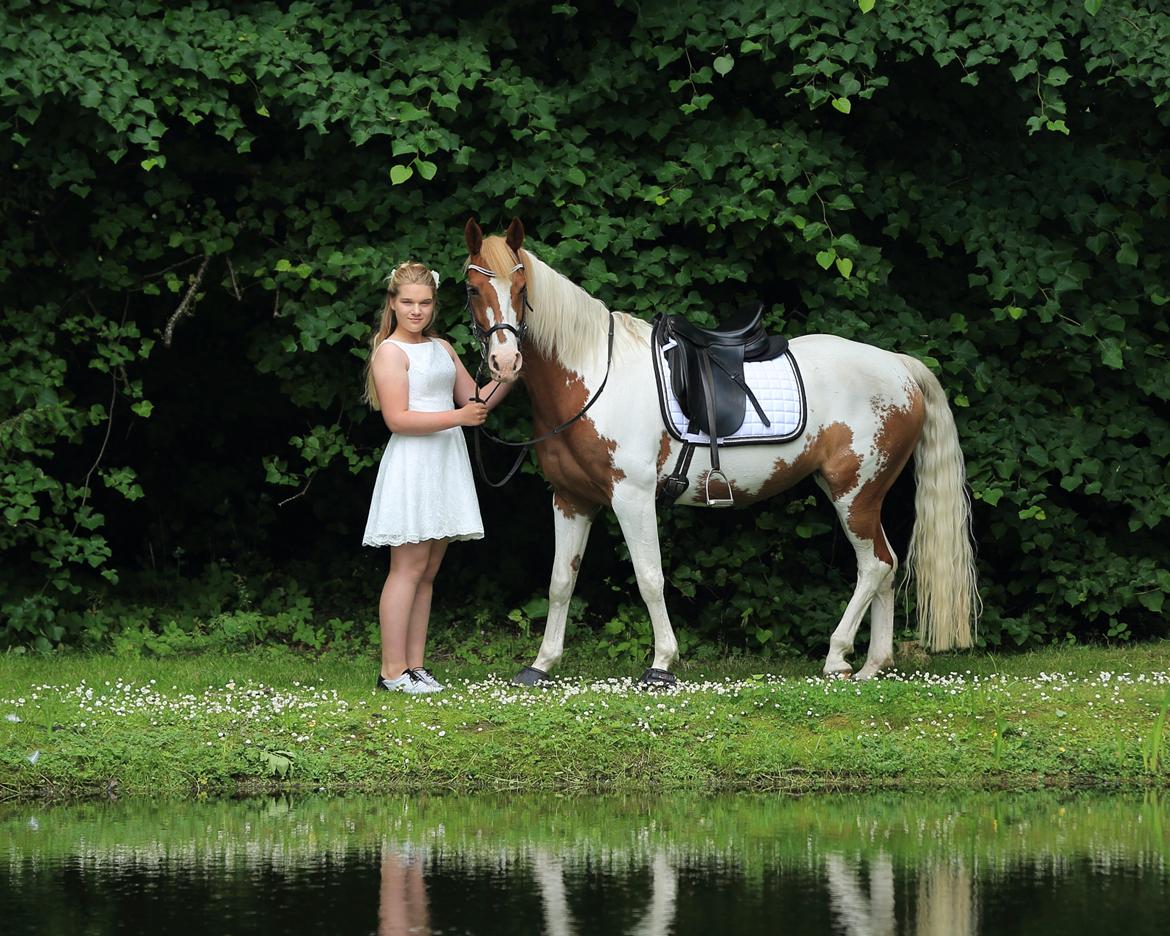 Anden særlig race Rugholms Bella  - Min konfirmation 2016 billede 2