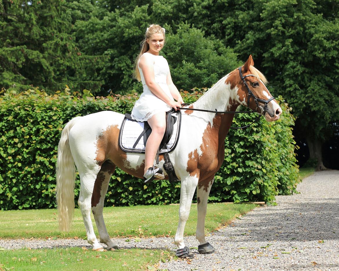 Anden særlig race Rugholms Bella  - Min konfirmation 2016 billede 3