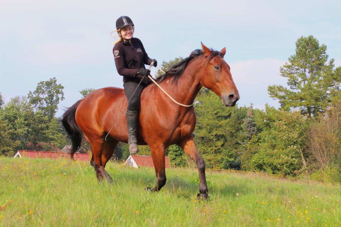 Traver Join Ecoflow billede 2