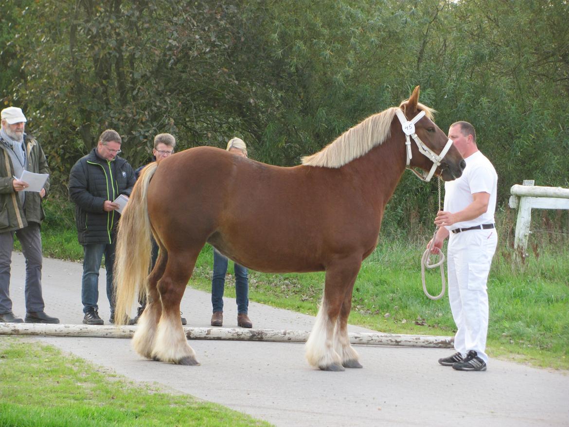 Jyde Katrine billede 28