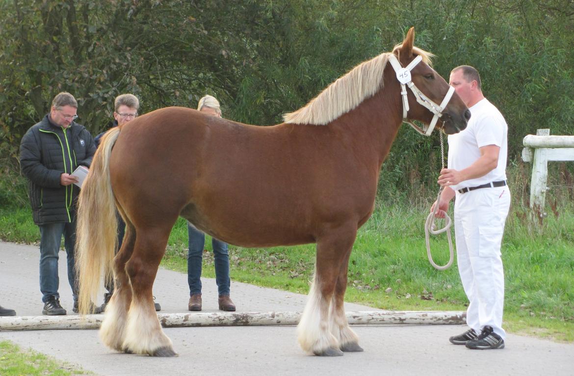 Jyde Katrine billede 6