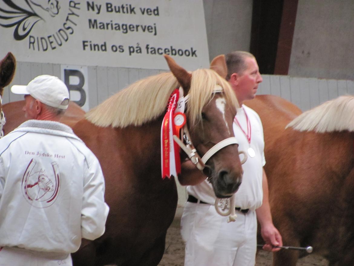Jyde Katrine - Katrine kåret med 9 point billede 2