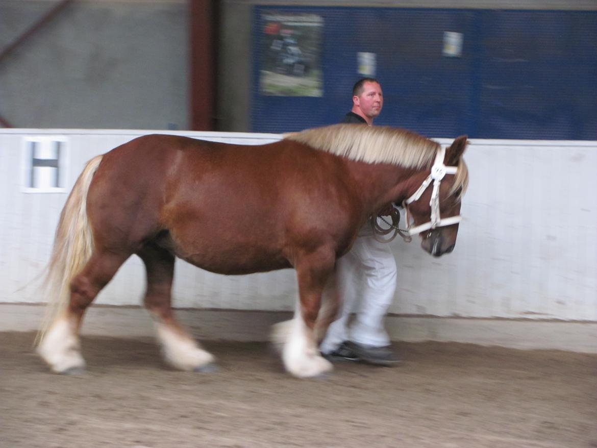 Jyde Katrine billede 5