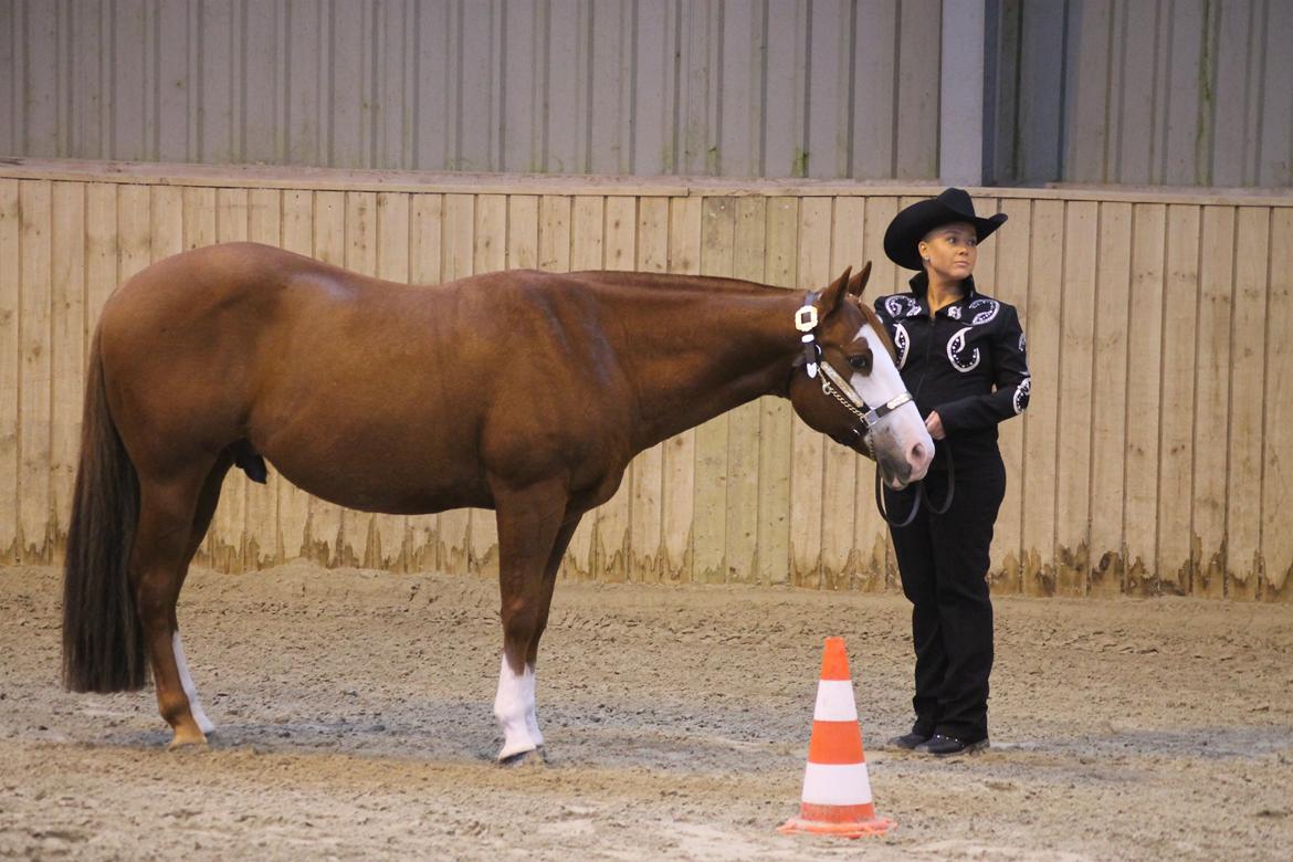 Paint Felix billede 2