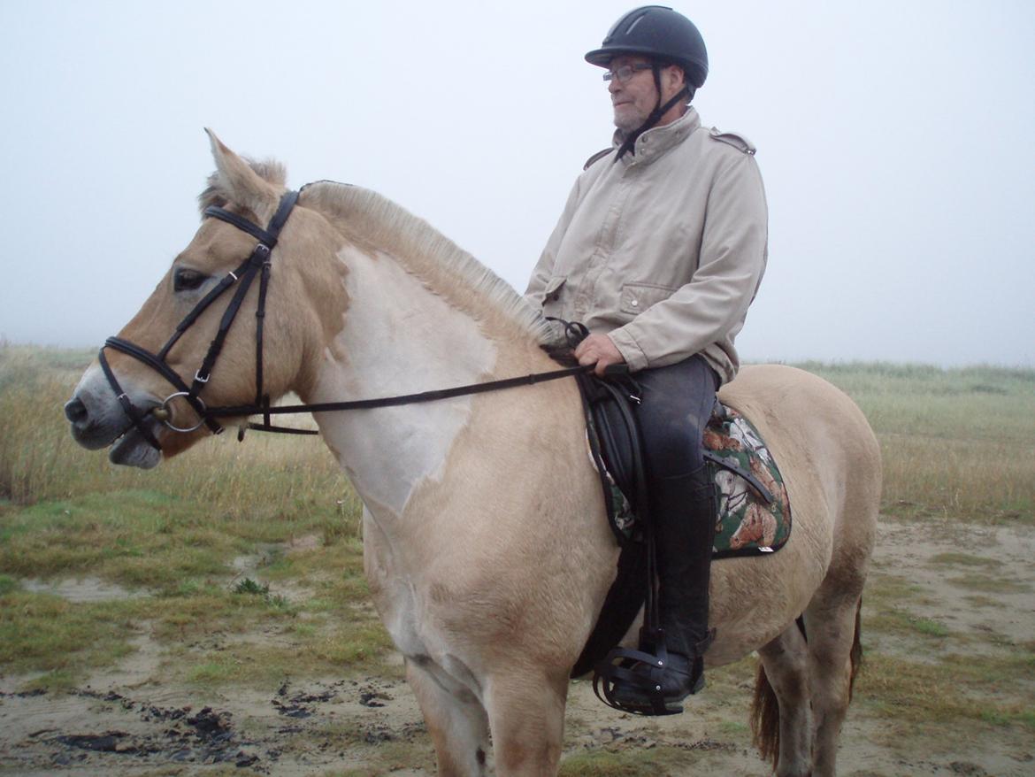 Fjordhest Søndervangs sofus - Harry på Sofus på Rømø billede 23