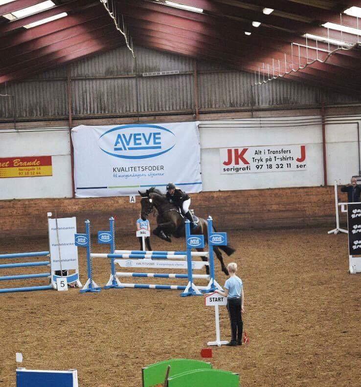 Oldenborg Cornett  - Første LC billede 31