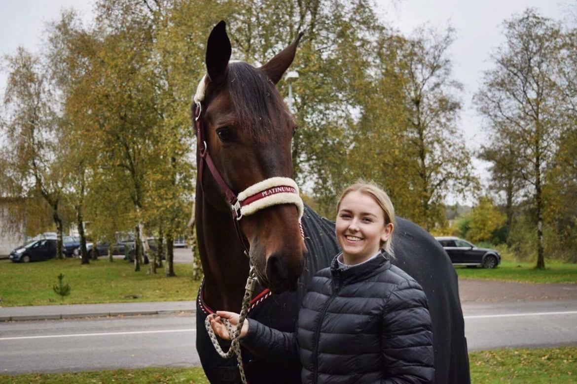 Oldenborg Cornett  billede 15