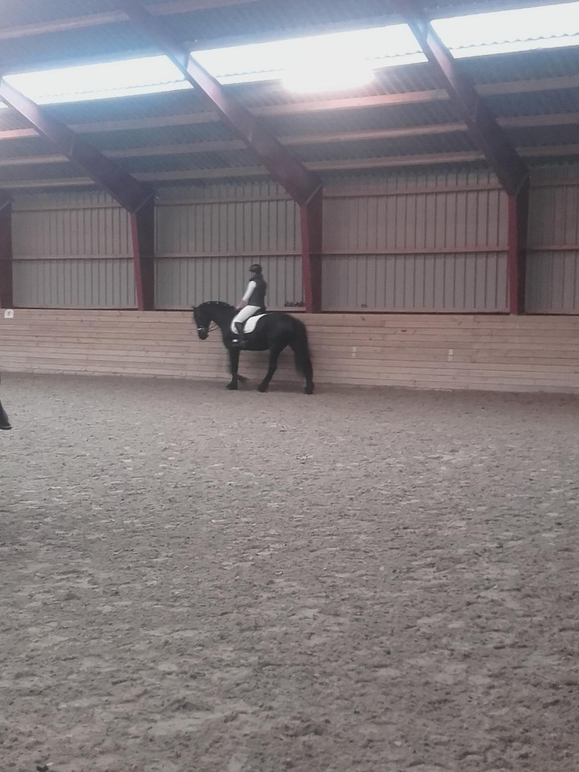 Frieser IDS billede 13