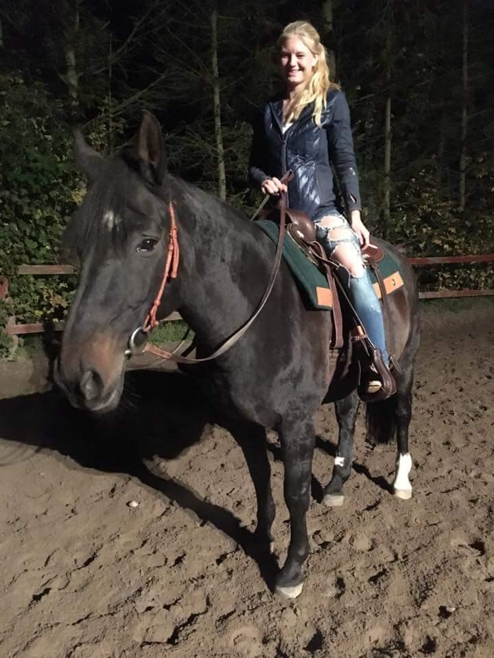 Dansk Varmblod °Cheila Skovly° billede 2