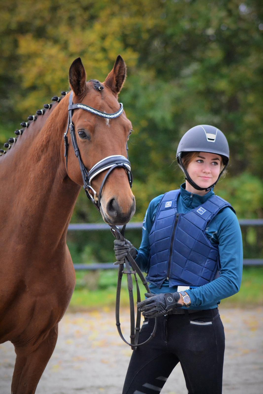 Tysk Oldenburger Znooze Firfod billede 6